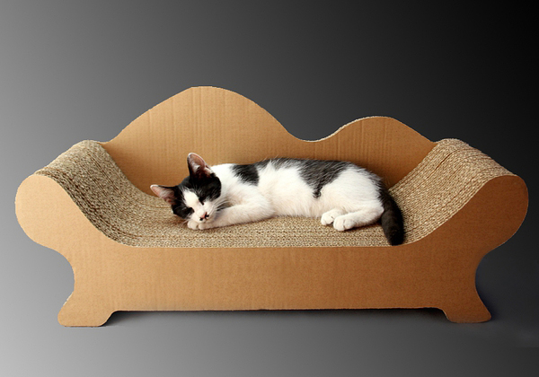 Cat Scratcher fun and functional to your cat(图2)