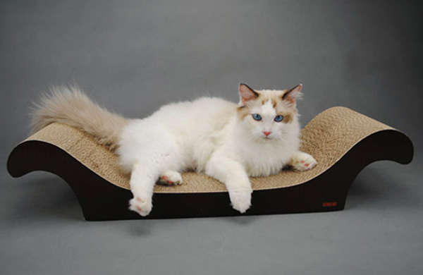 Cat Scratcher fun and functional to your cat(图1)